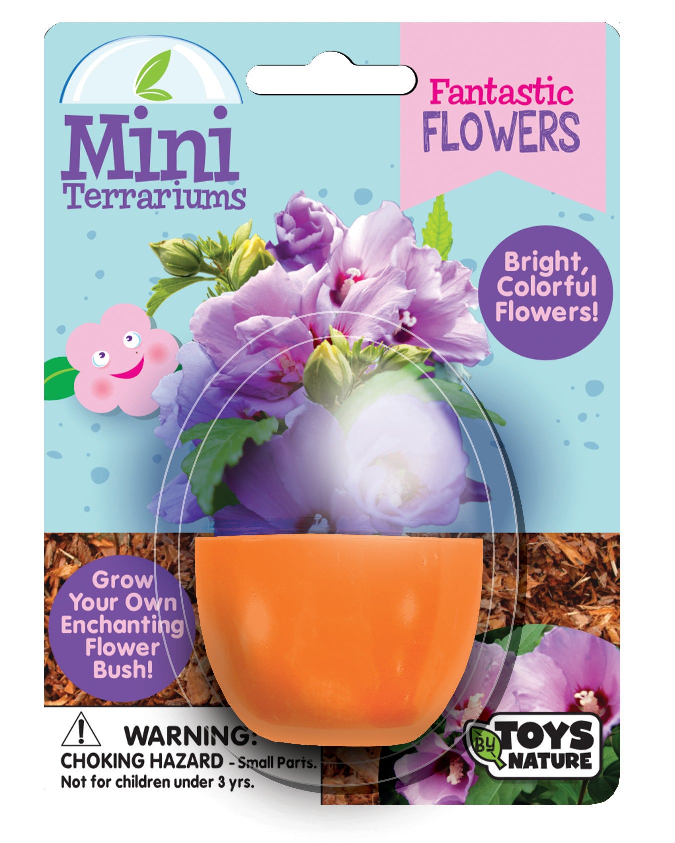 Mini Terrarium Bundle - 1 Each of 7 Varieties