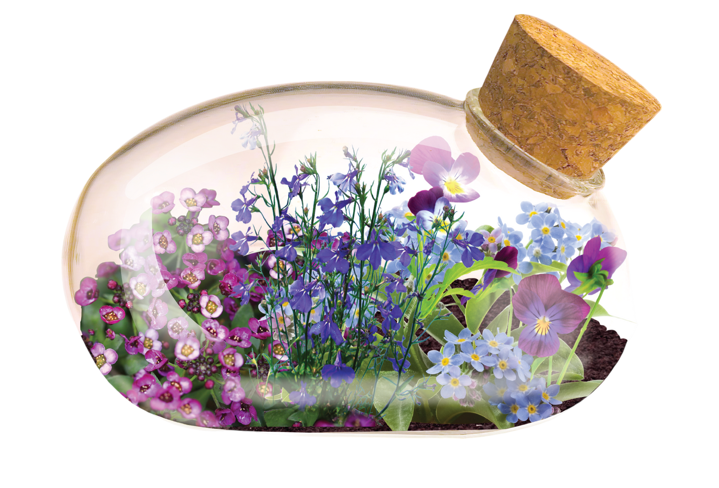 The Flowering Mouse Garden Glass Terrarium with Cork