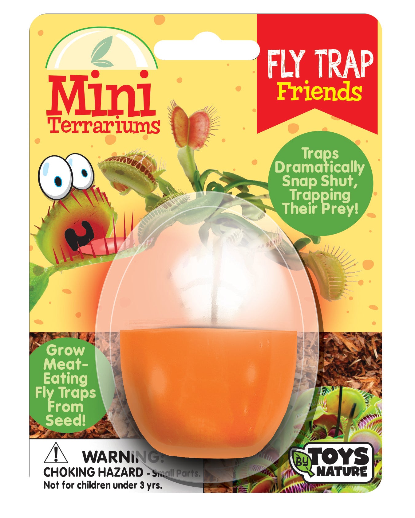 Carnivorous Mini Terrarium Bundle - 2 Each of 3 Varieties