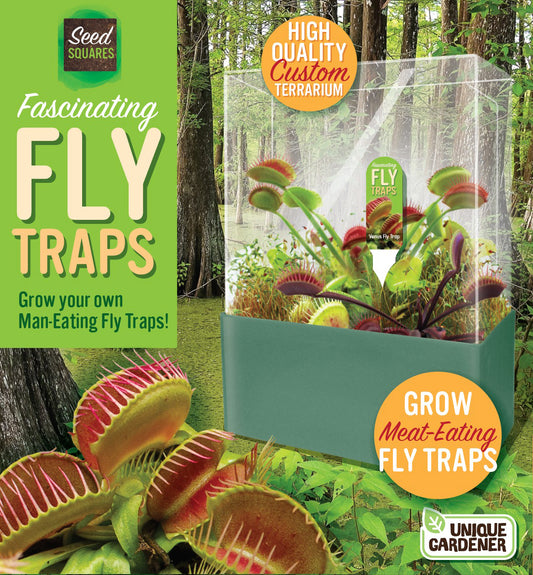 Venus Fly Trap Seed Square Terrarium