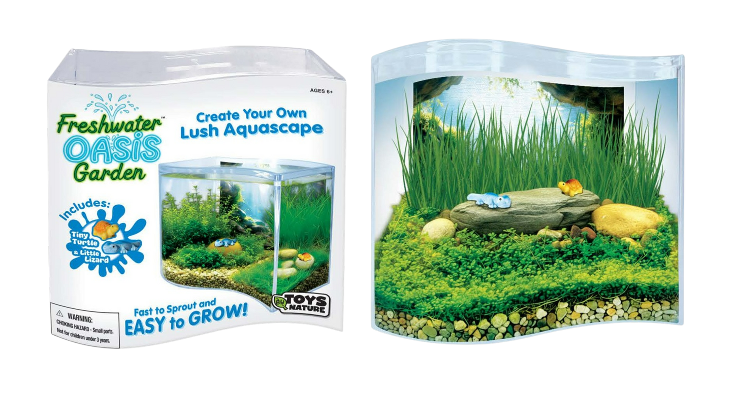 Freshwater Oasis Garden Wave Terrarium