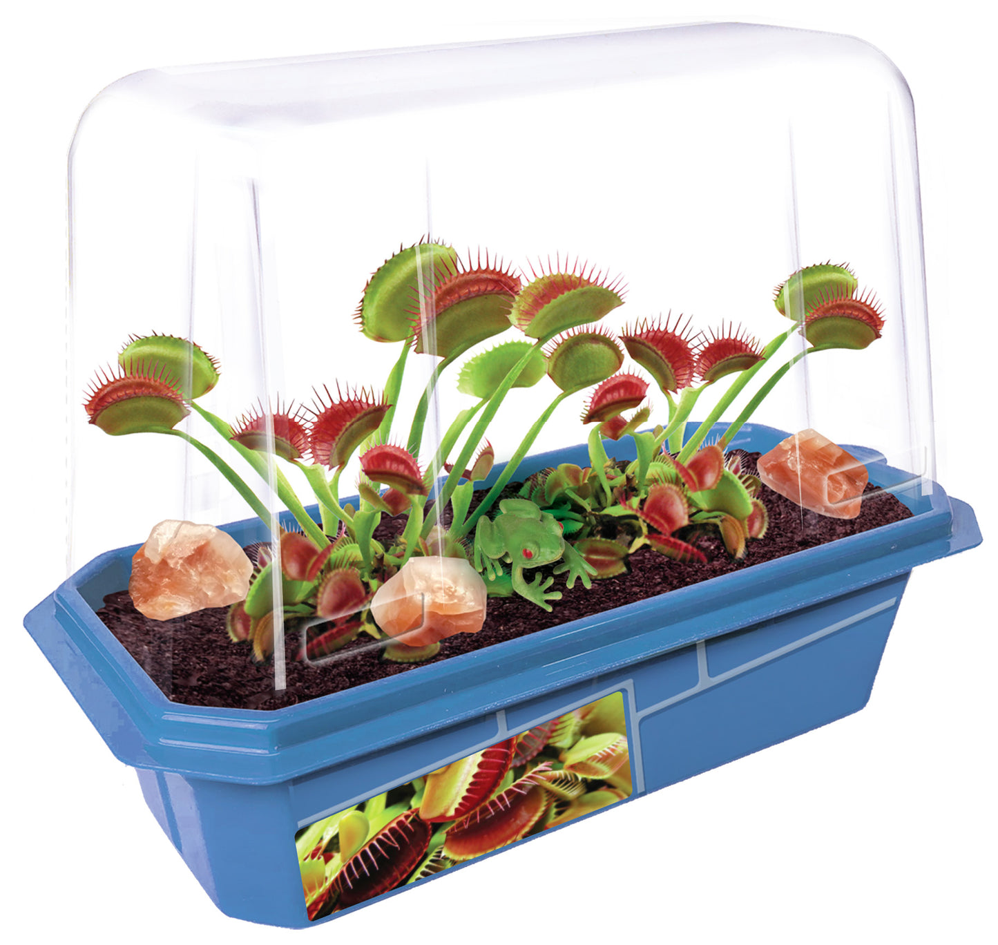 Frightening Flytraps Mini World Terrarium