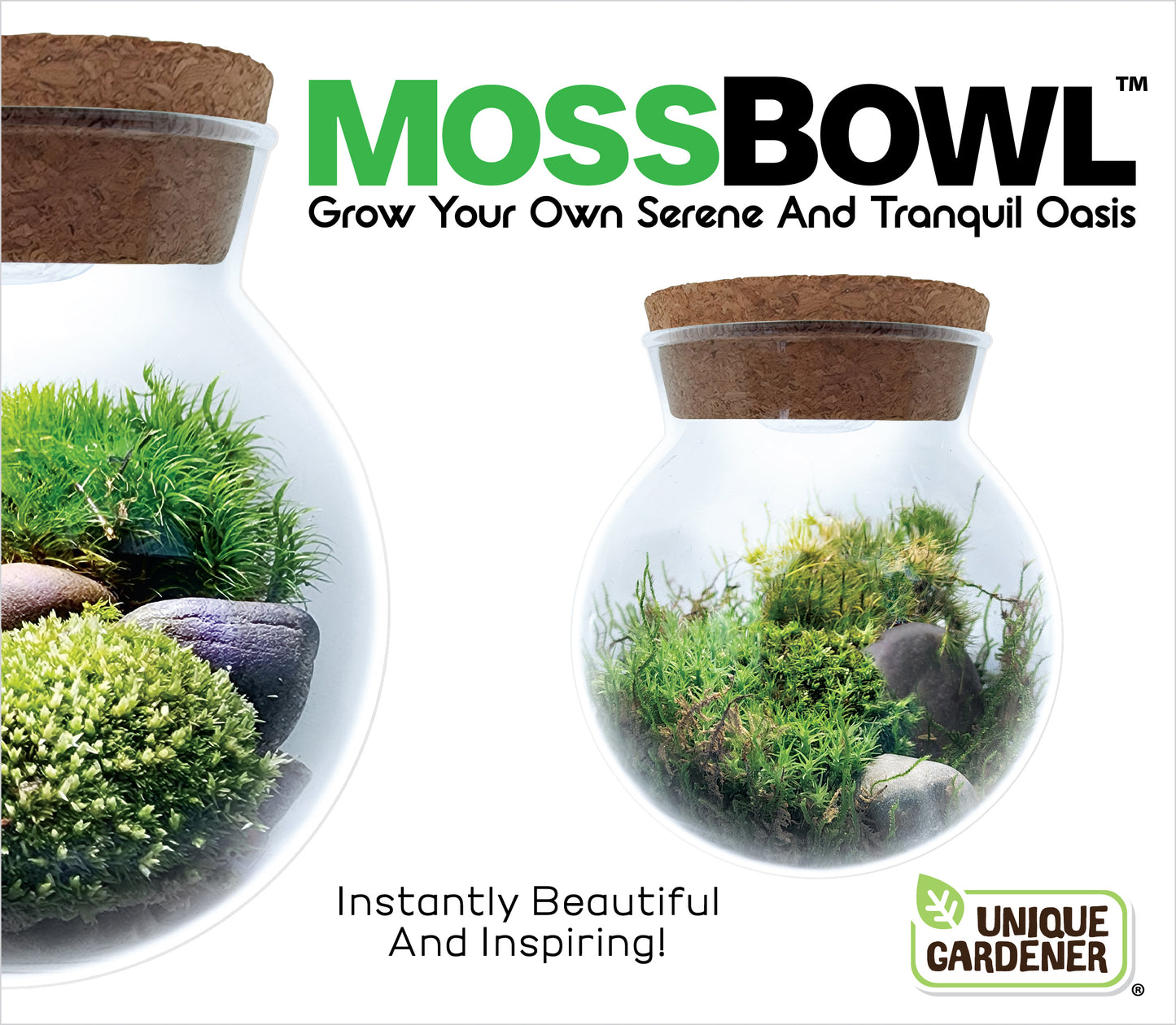 MossBowl- Grow Your Own Beautiful Moss Garden, Complete Kit Come with 3 Mosses!