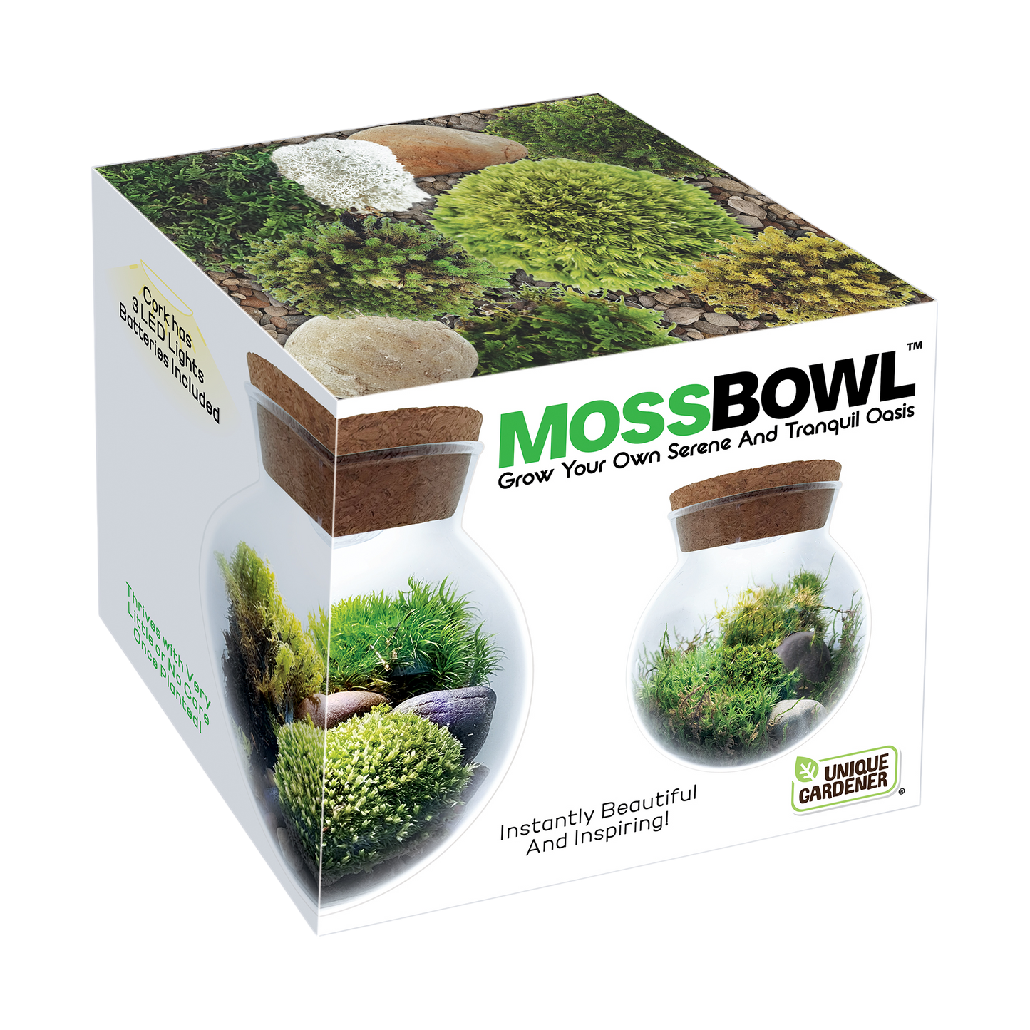 MossBowl- Grow Your Own Beautiful Moss Garden, Complete Kit Come with 3 Mosses!