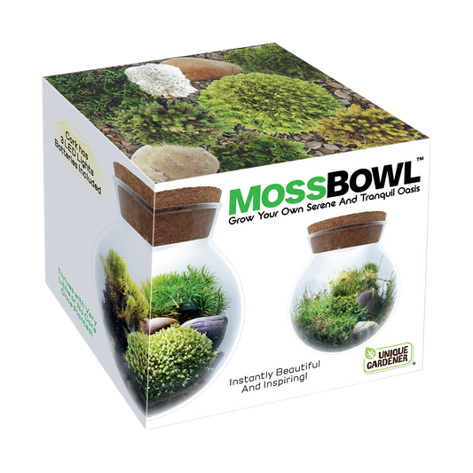 MossBowl- Grow Your Own Beautiful Moss Garden, Complete Kit Come with 3 Mosses!