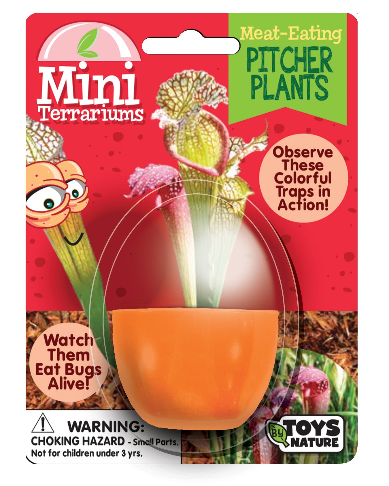 Carnivorous Mini Terrarium Bundle - 2 Each of 3 Varieties