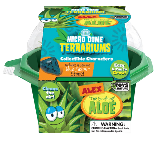 Alex 'The Soothing' Aloe Micro Dome Terrarium