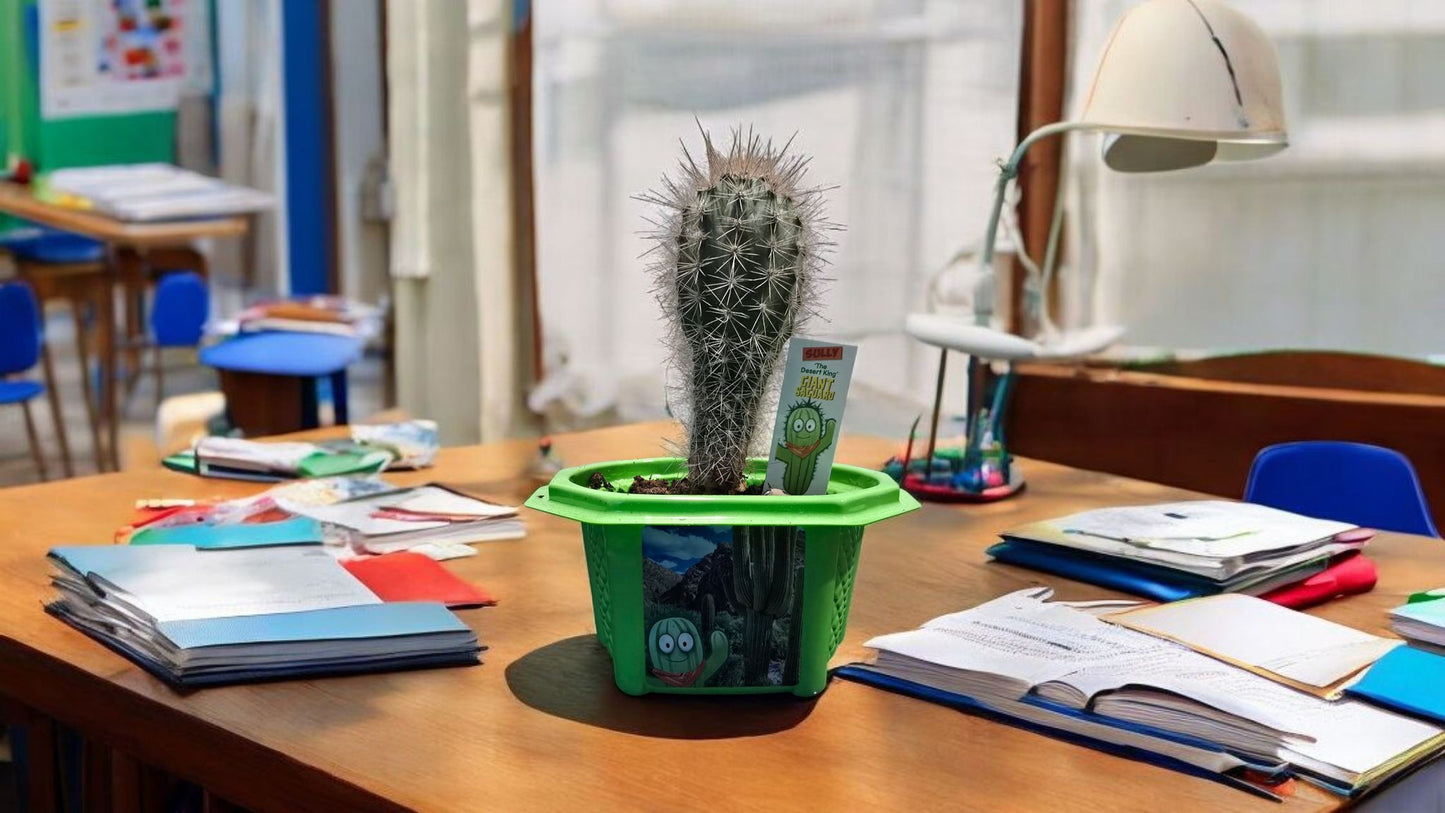 Sully 'The Desert King' Giant Saguaro Micro Dome Terrarium