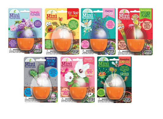 Mini Terrarium Bundle - 1 Each of 7 Varieties