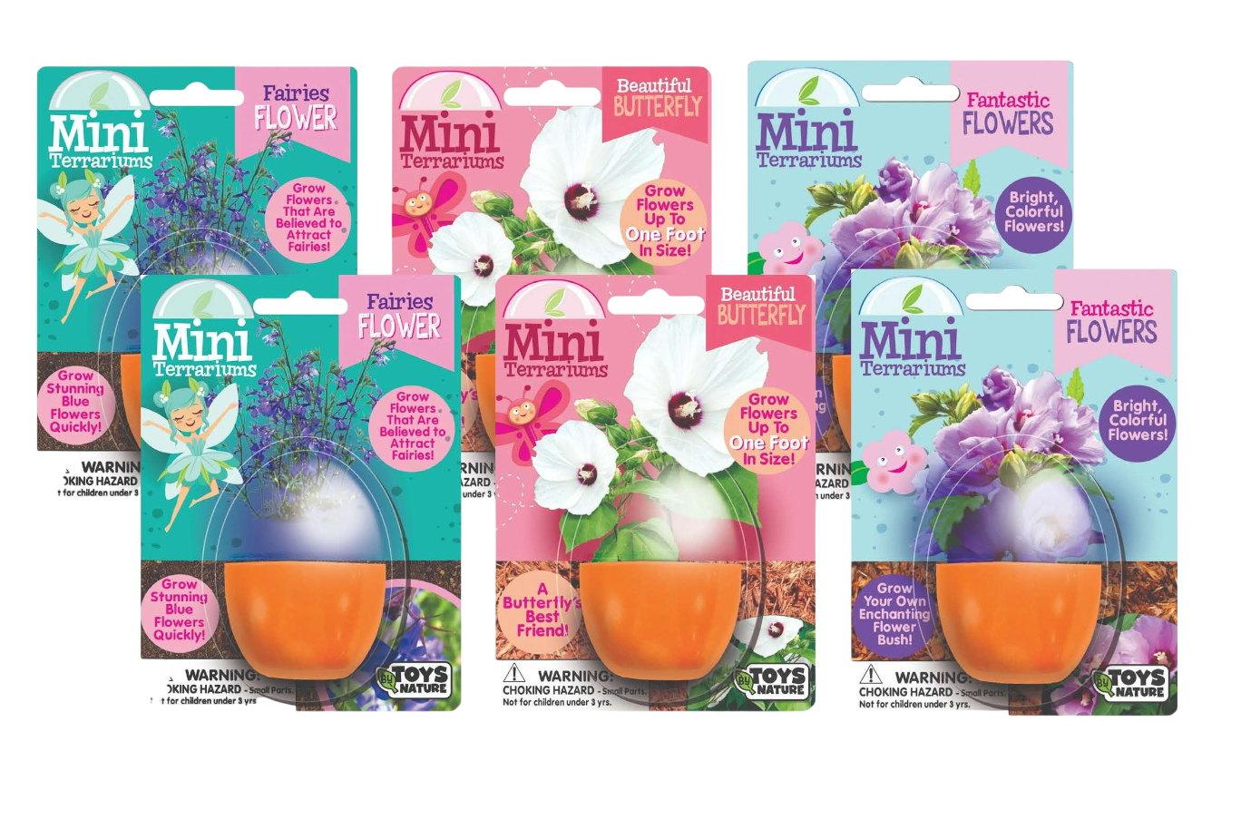 Flowering Mini Terrarium Bundle - 2 Each of 3 Varieties