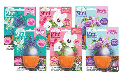 Flowering Mini Terrarium Bundle - 2 Each of 3 Varieties