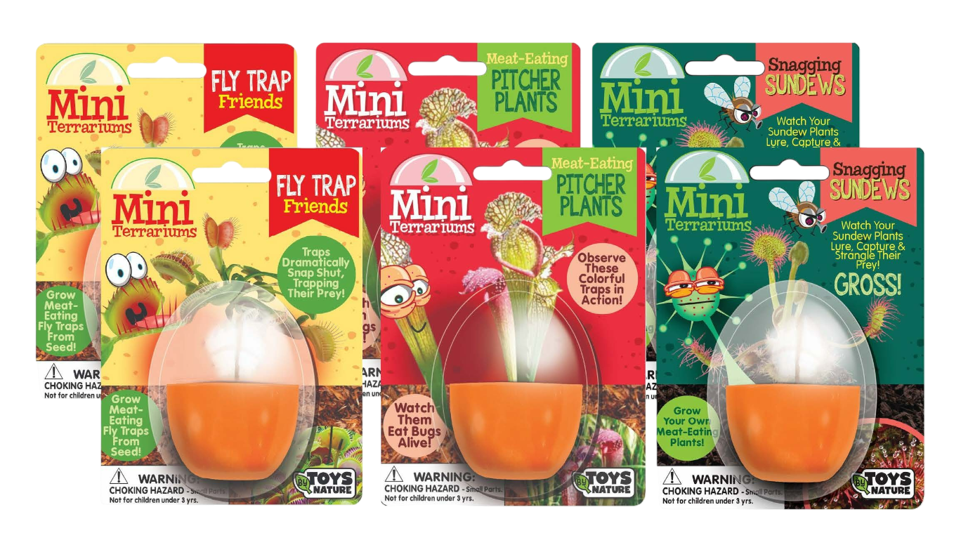 Carnivorous Mini Terrarium Bundle - 2 Each of 3 Varieties