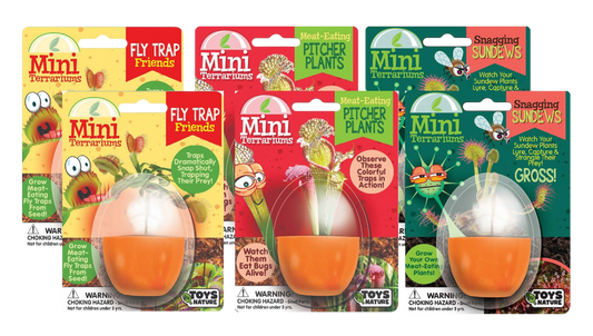Carnivorous Mini Terrarium Bundle - 2 Each of 3 Varieties