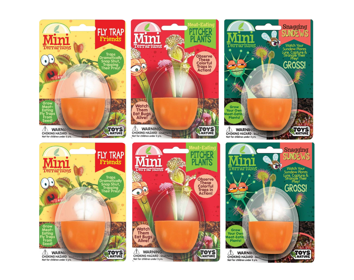 Carnivorous Mini Terrarium Bundle - 2 Each of 3 Varieties