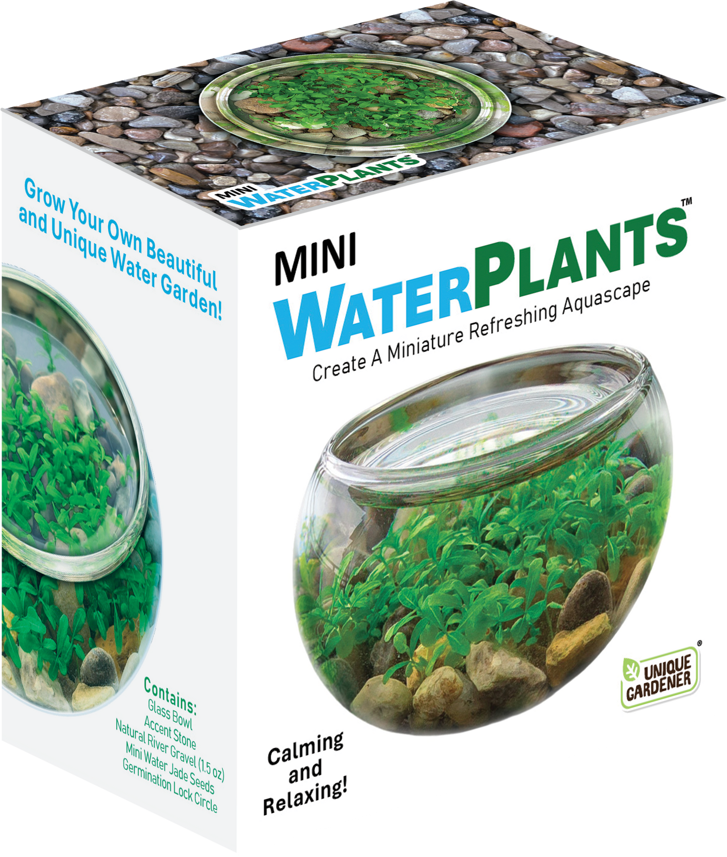 Mini WaterPlants - Multipack of 3