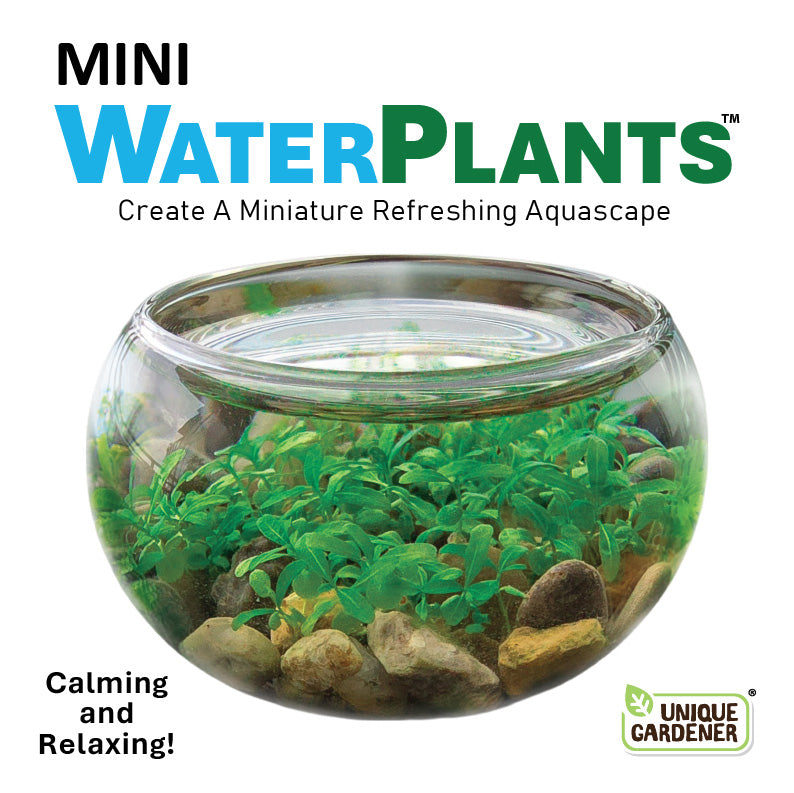 Mini WaterPlants - Multipack of 3