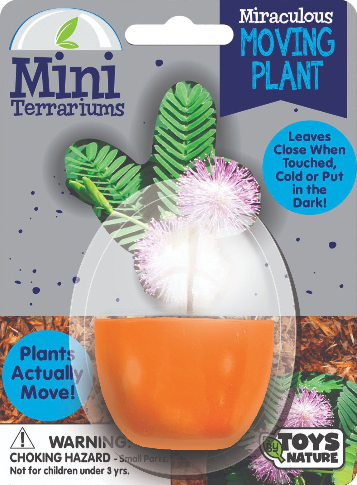 Mini Terrarium Moving Plant - Multipack of 5