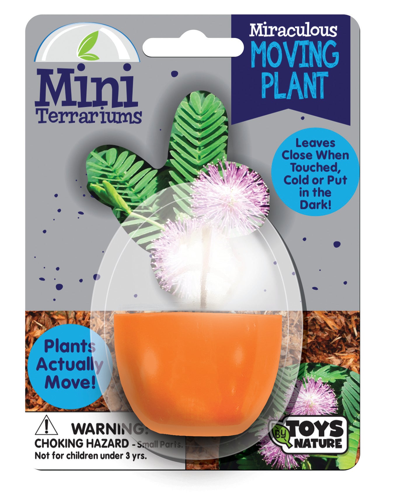 Mini Terrarium Bundle - 1 Each of 7 Varieties