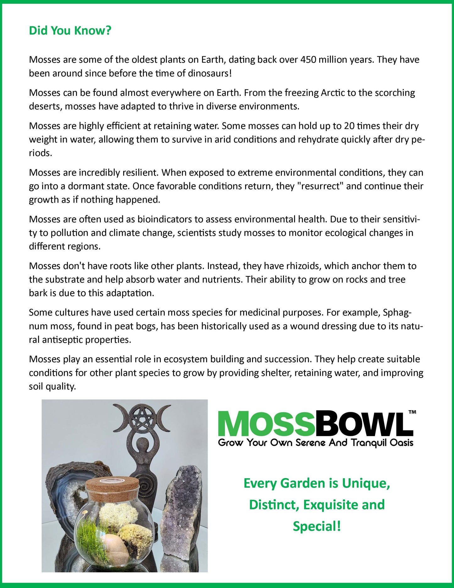 MossBowl- Grow Your Own Beautiful Moss Garden, Complete Kit Come with 3 Mosses!