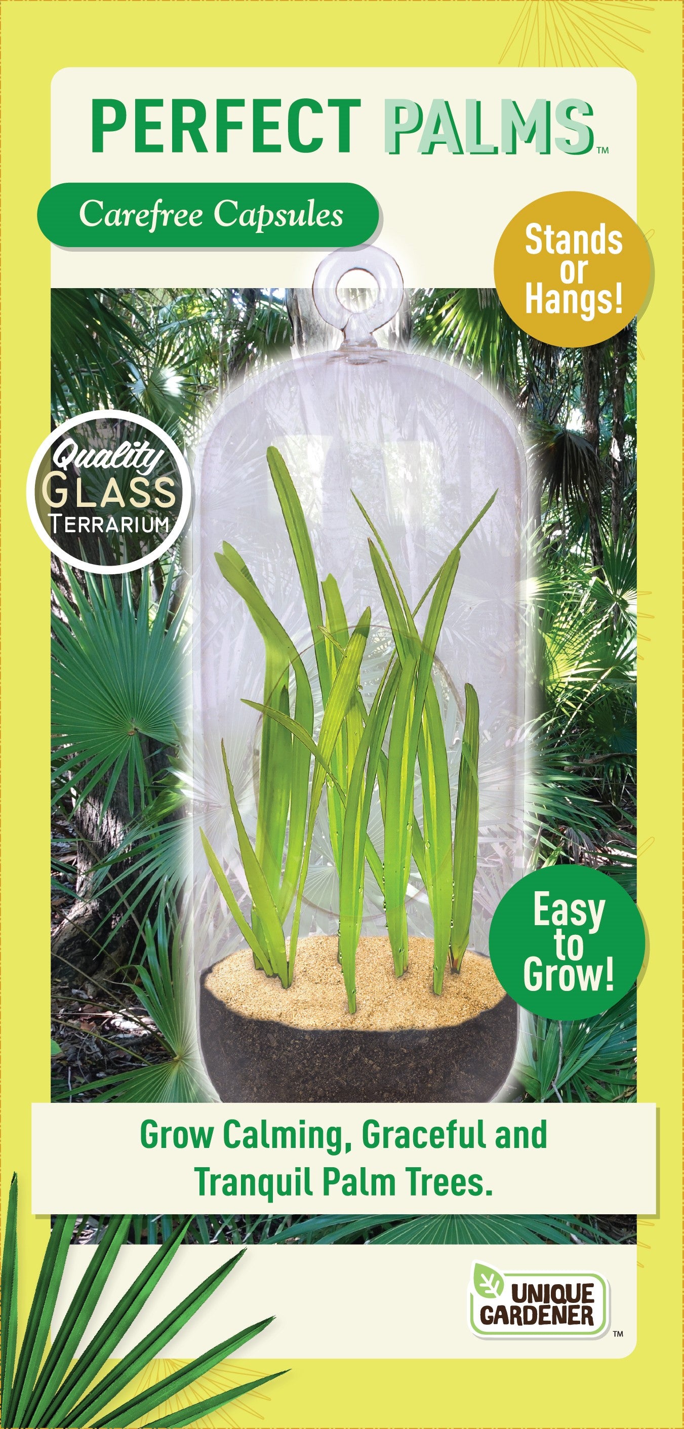 Perfect Palms Glass Terrarium Seed Starting Kit