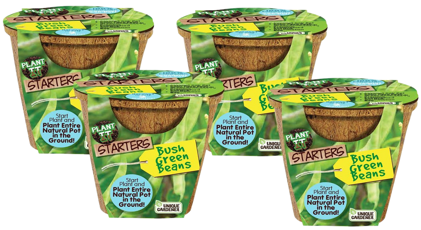 Green Bush Beans Plant-It-Starters - Multipack of 4