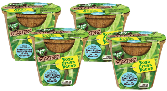Green Bush Beans Plant-It-Starters - Multipack of 4