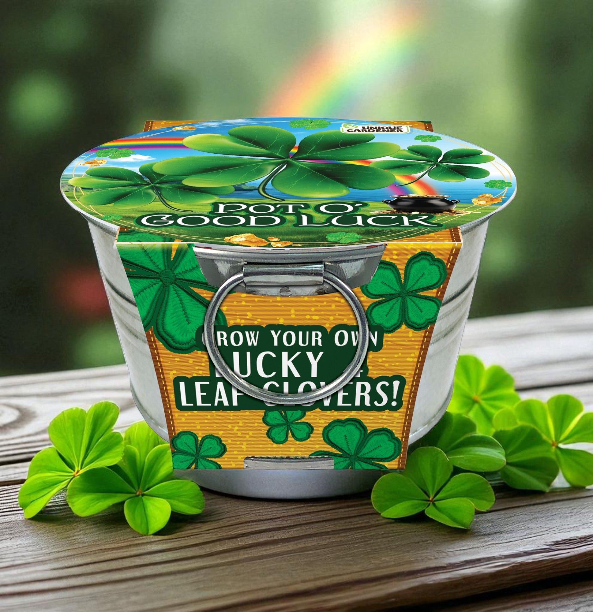 best pot for shamrock plant Pot O' Good Luck