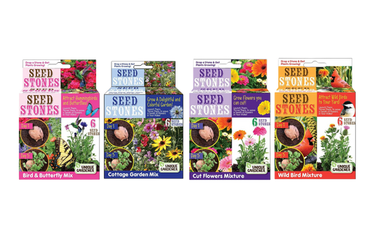 Seed Stones Variety Pack - 1 Each of 4 Varieties