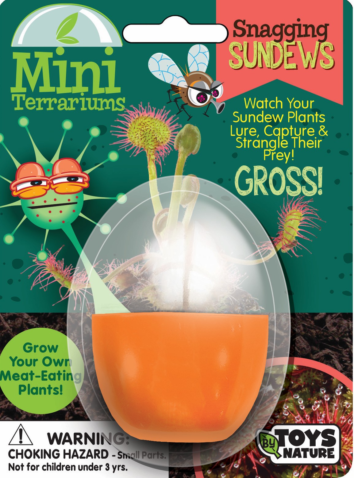 Mini Terrarium Bundle - 1 Each of 7 Varieties