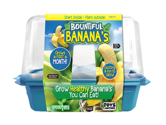 Bountiful Bananas Sprouter Terrarium