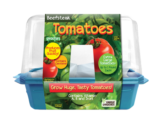 Beefsteak Tomatoes Sprouter Terrarium