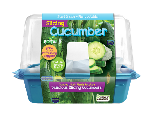 Slicing Cucumbers Sprouter Terrarium