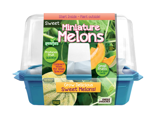 Mini Melons Sprouter Terrarium