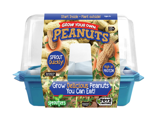 Grow Your Own Peanuts Sprouter Terrarium