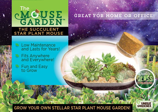 The Succulent Star Mouse Garden Glass Terrarium with Cork