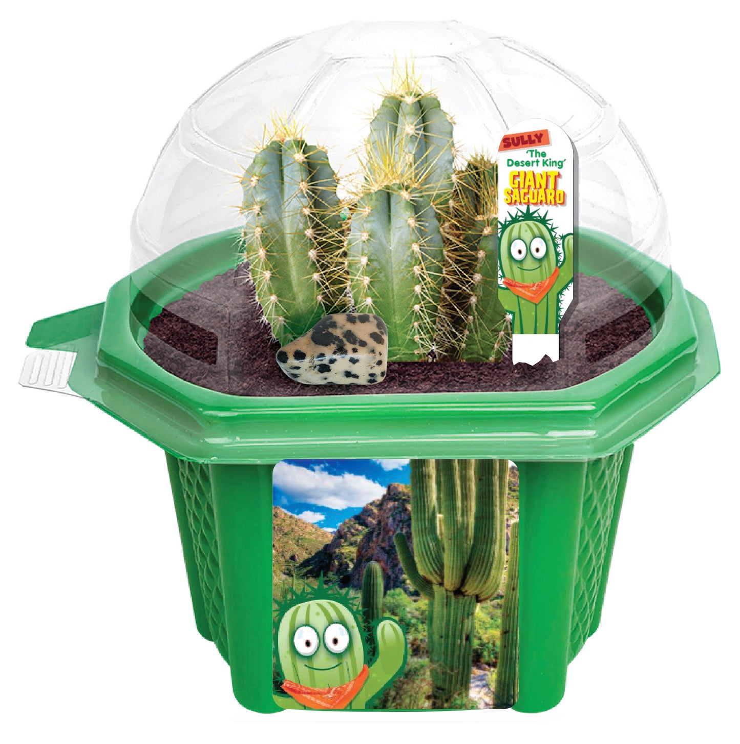 Sully 'The Desert King' Giant Saguaro Micro Dome Terrarium