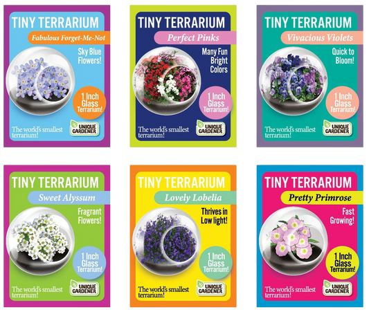 Flowering Tiny Terrariums Bundle - 1 each of 6 Varieties