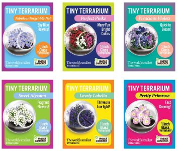 Flowering Tiny Terrariums Bundle - 1 each of 6 Varieties