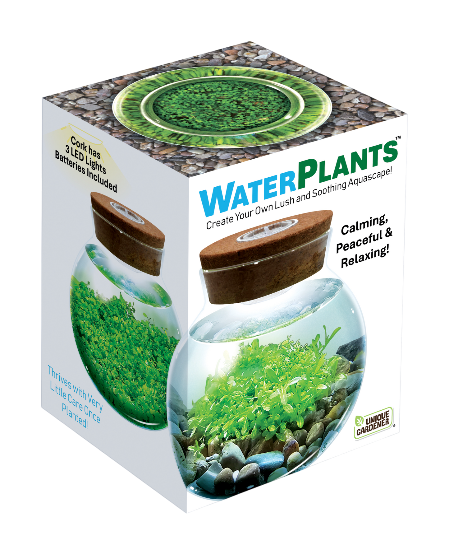 growing aquarium plants from seeds WaterPlants- Grow Lush Aquatic Plants from Seed! Thrives With Minimal – Unique Gardener