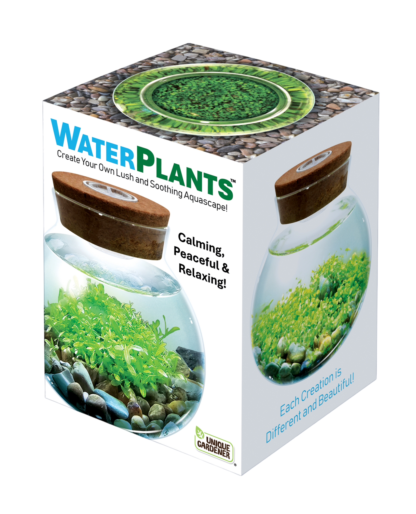 seeds for water plants WaterPlants