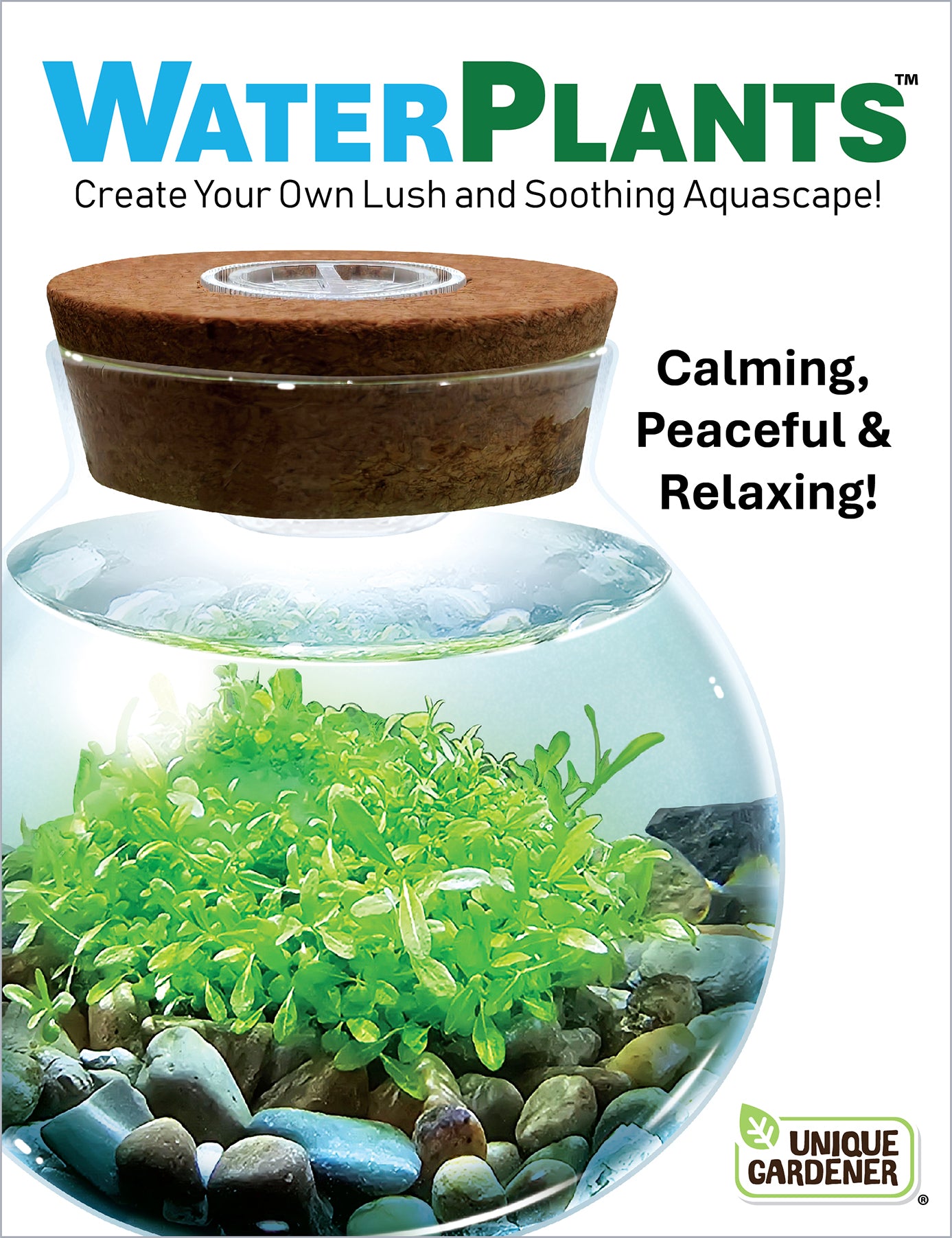 water a jade plant WaterPlants- Grow Lush Aquatic Plants from Seed! Thrives With Minimal – Unique Gardener